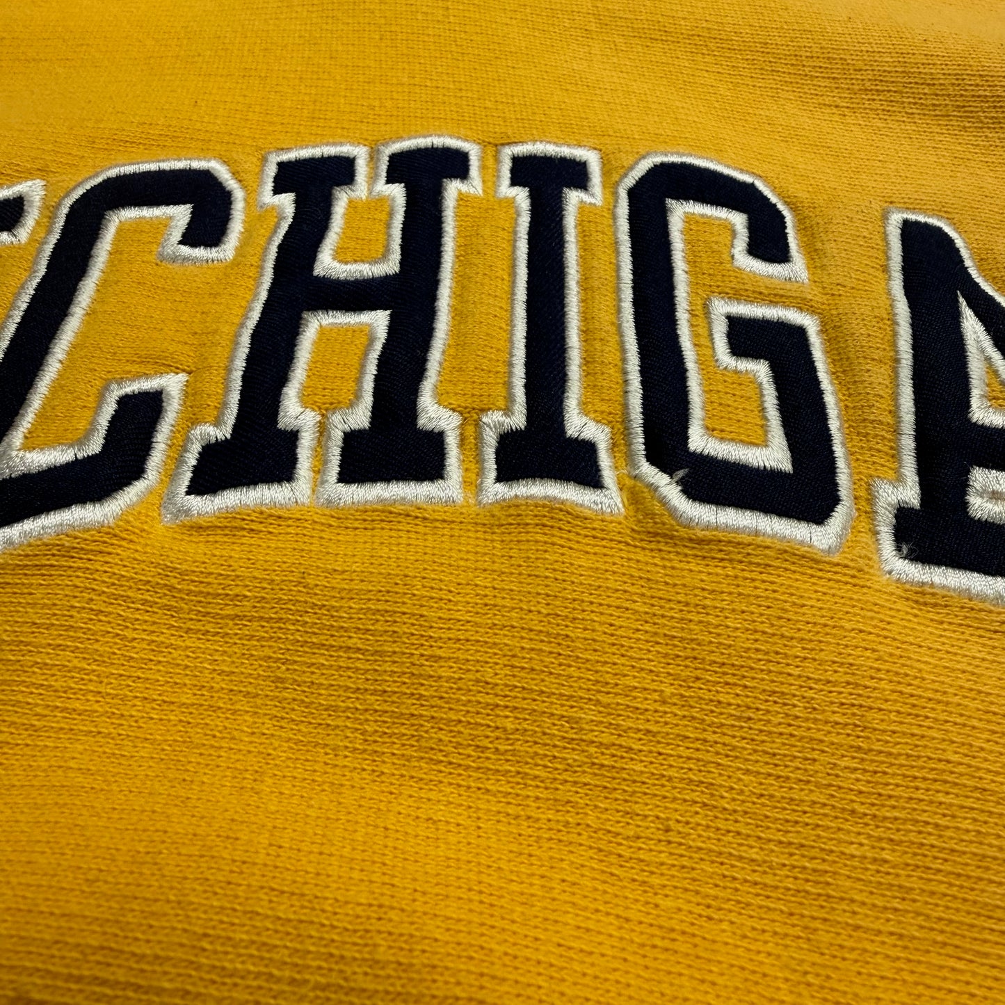 Michigan Embroidered Script Hoodie