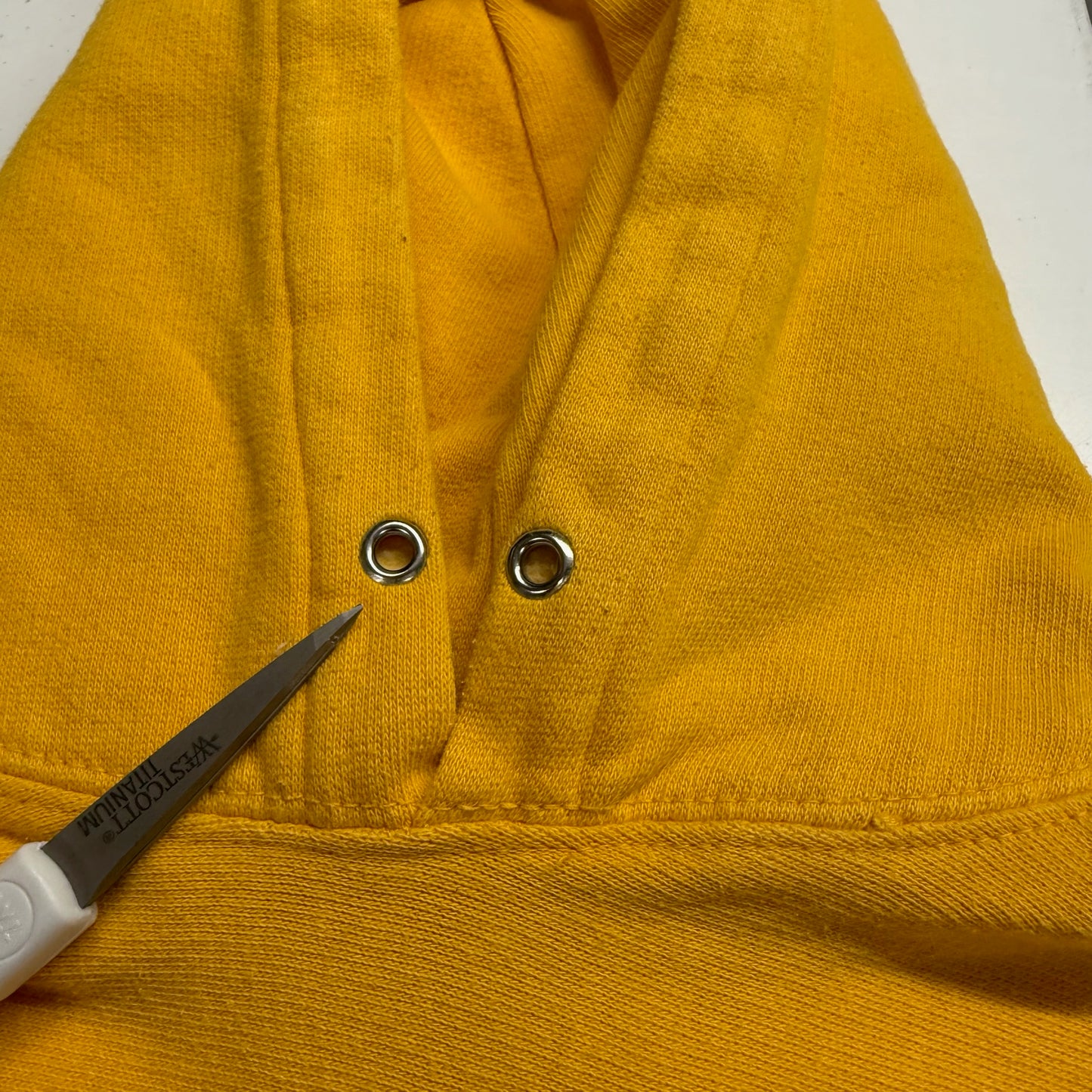 Michigan Embroidered Script Hoodie