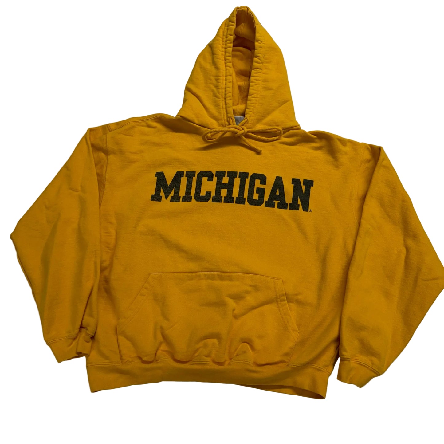Michigan Script Hoodie