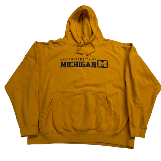 Michigan Boxy Fit Hoodie