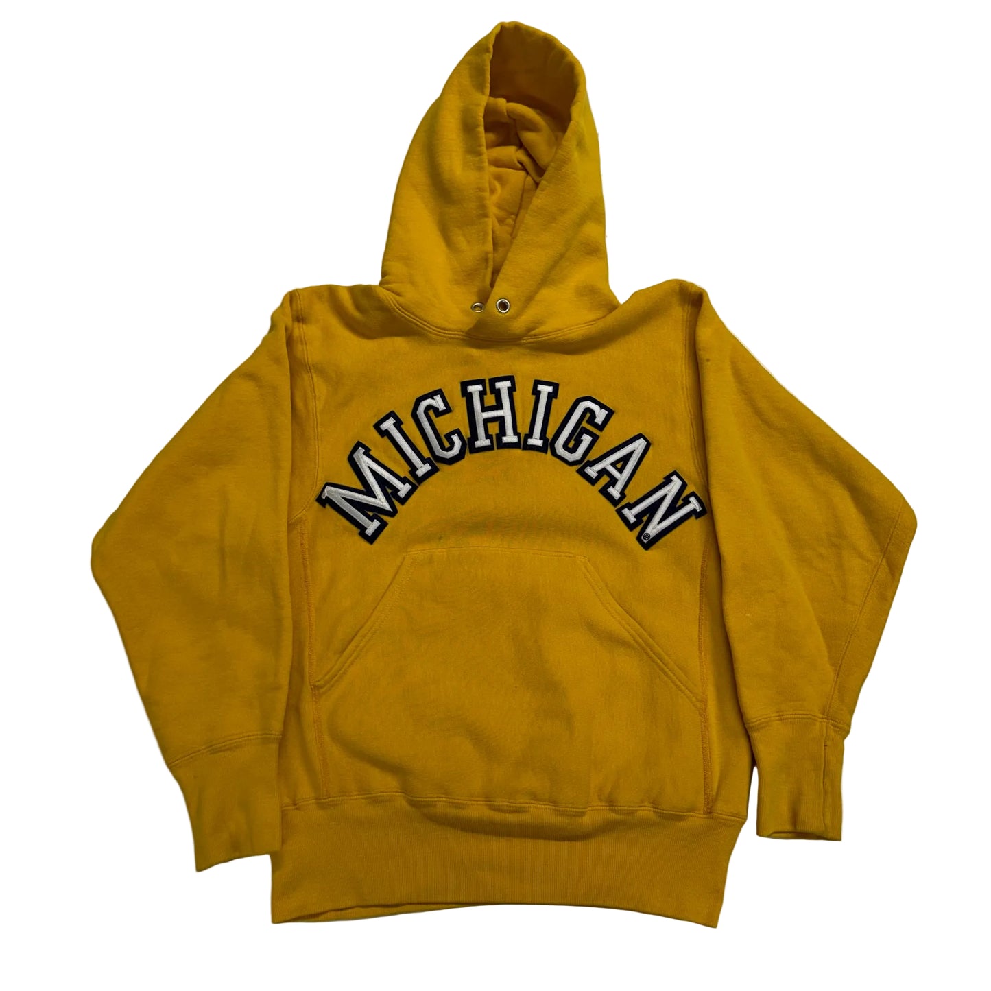 Michigan Embroidered Script Hoodie