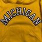 Michigan Embroidered Script Hoodie
