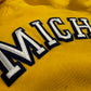 Michigan Embroidered Script Hoodie