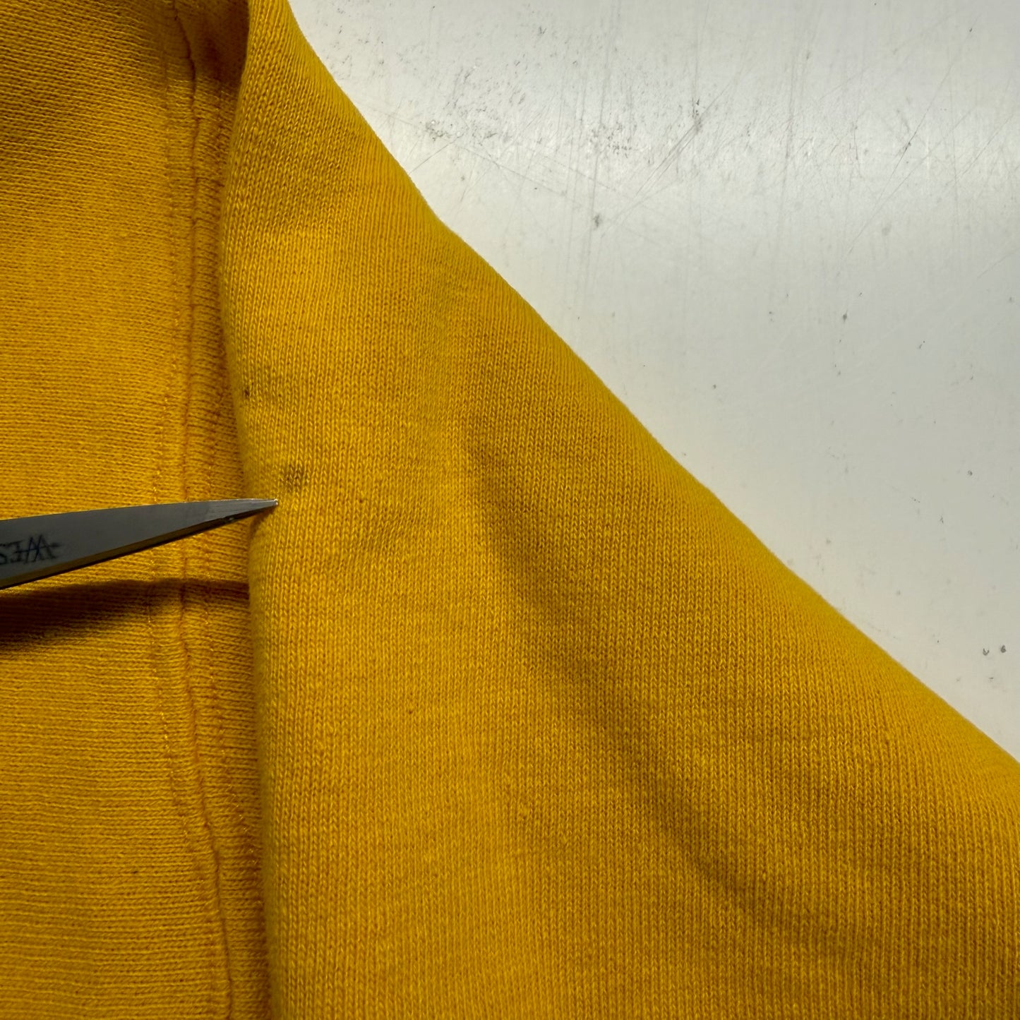Michigan Embroidered Script Hoodie