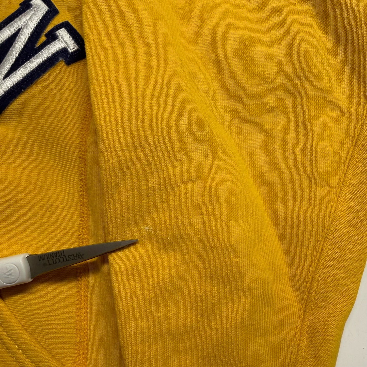 Michigan Embroidered Script Hoodie