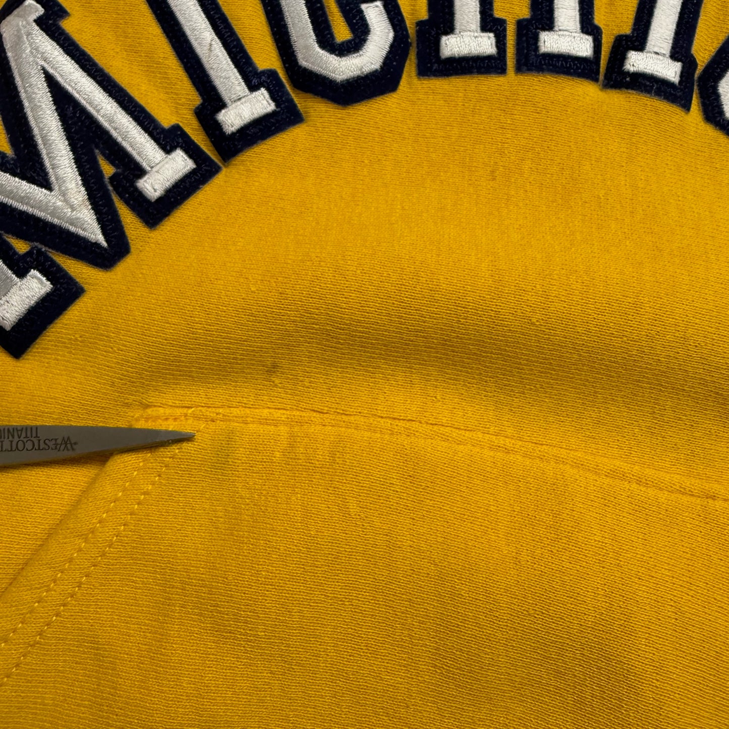 Michigan Embroidered Script Hoodie
