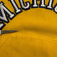 Michigan Embroidered Script Hoodie