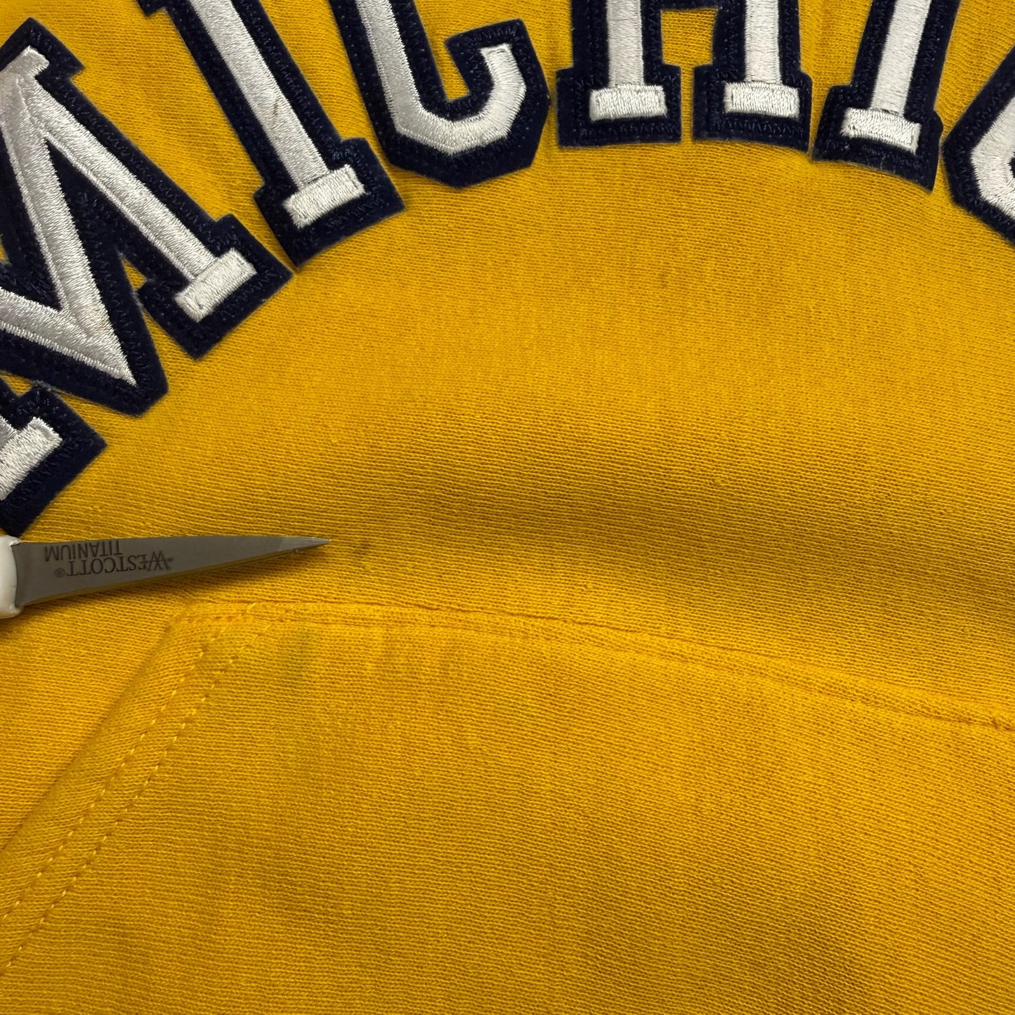 Michigan Embroidered Script Hoodie