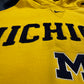 Michigan Nike Embroidered Hoodie