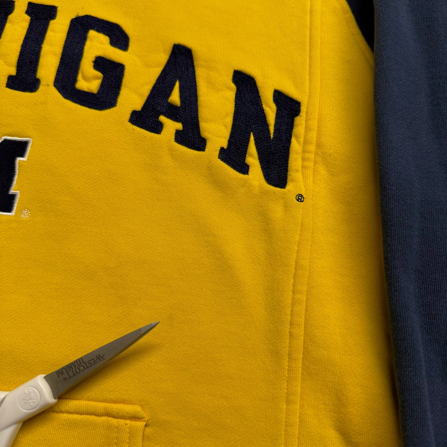 Michigan Nike Embroidered Hoodie