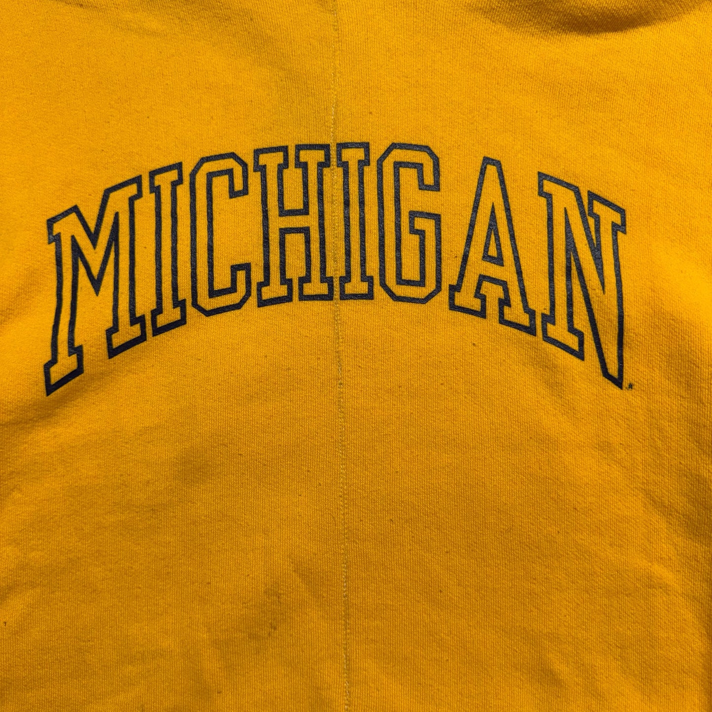 Michigan Vintage 1980s Hoodie