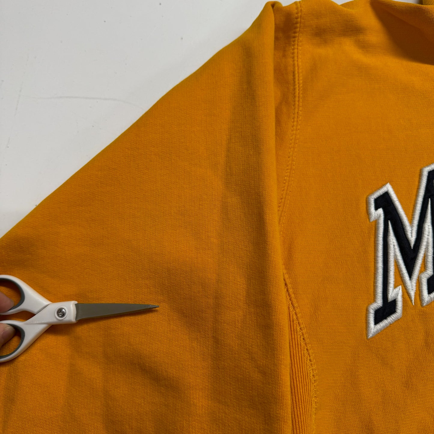 Michigan Embroidered Hoodie
