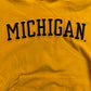 Michigan Embroidered Hoodie