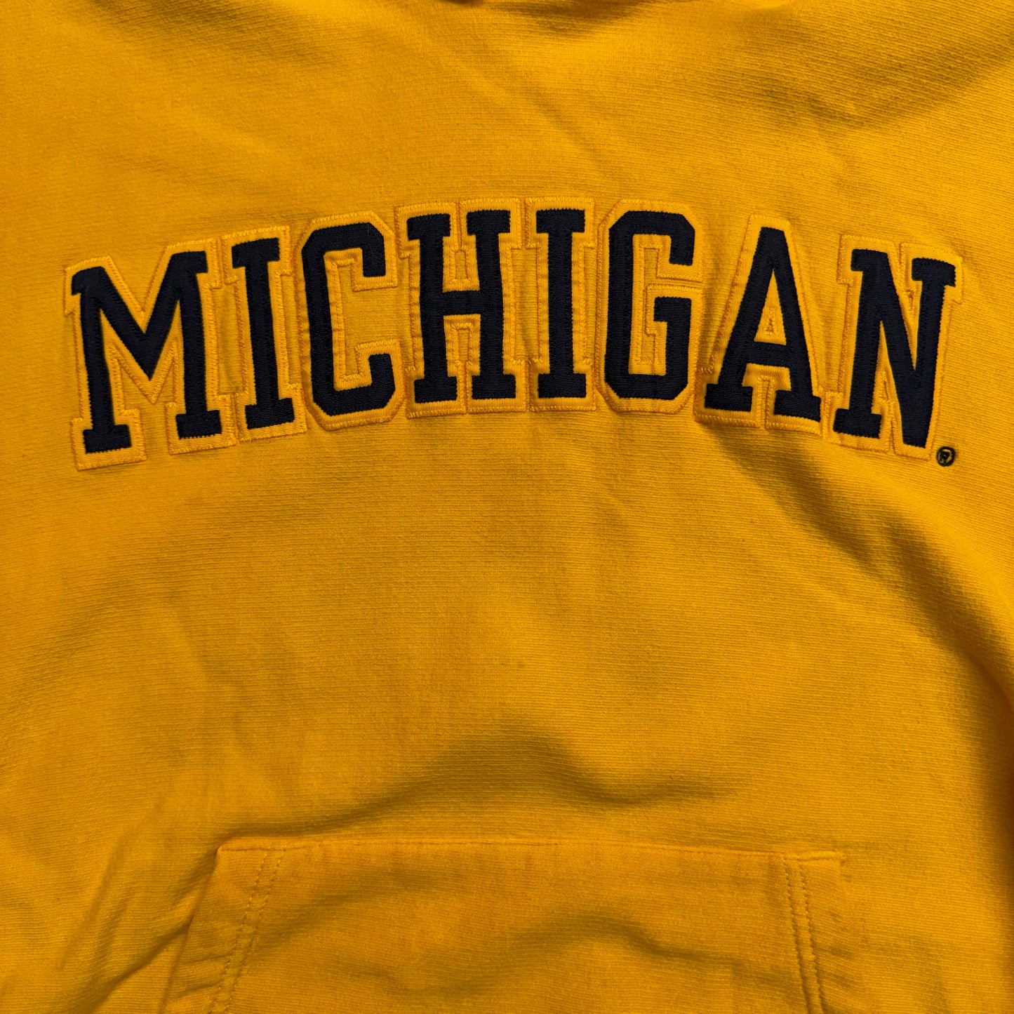 Michigan Embroidered Hoodie
