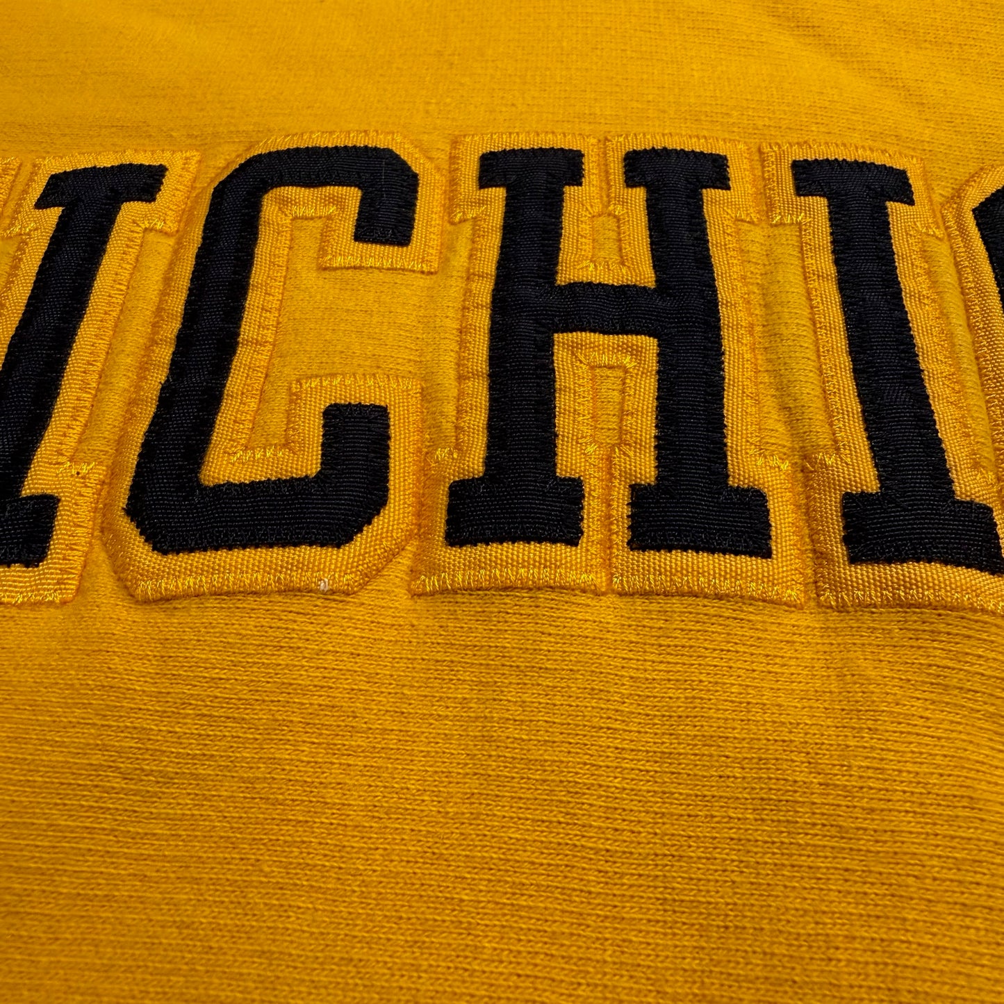 Michigan Embroidered Hoodie