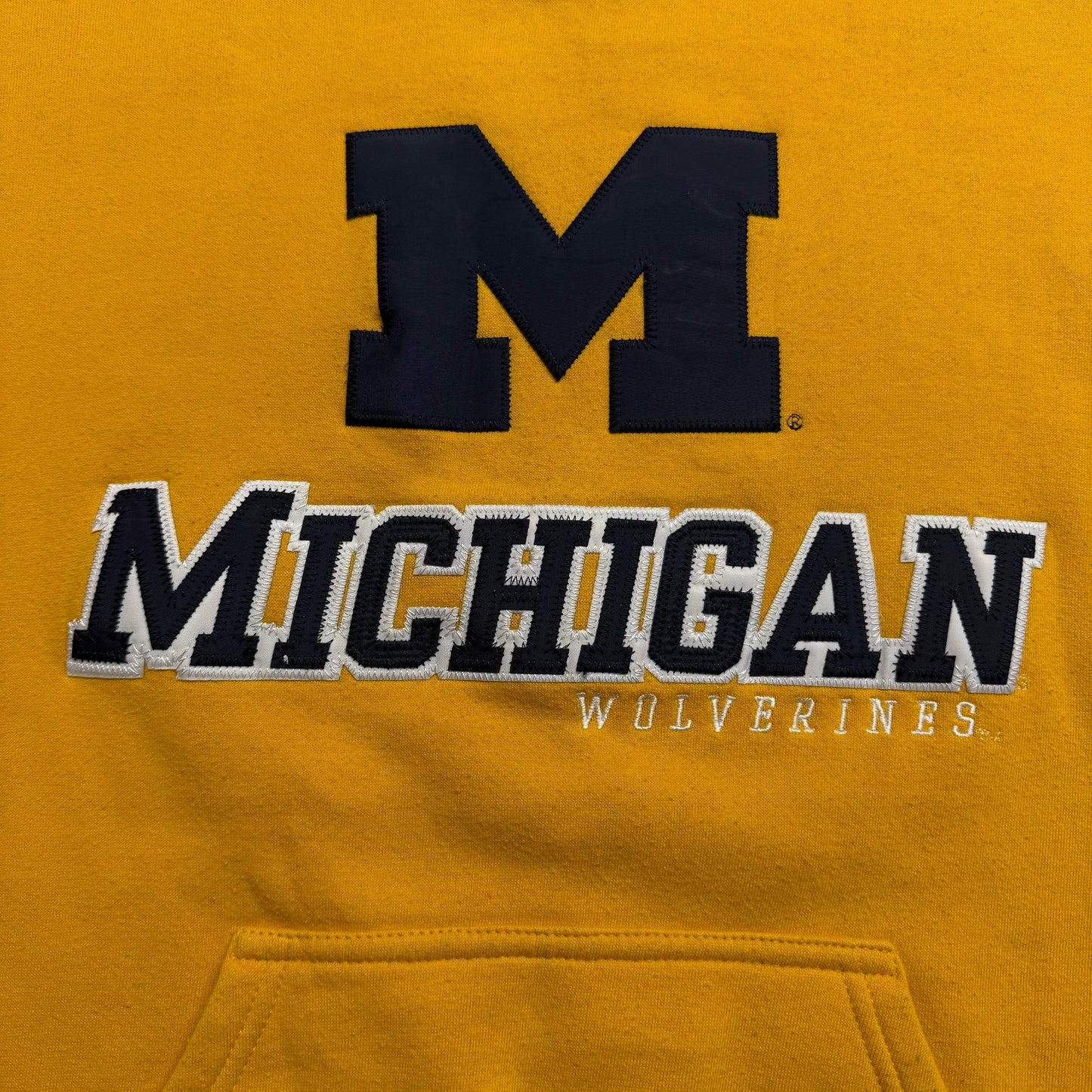 Michigan Script & M Hoodie