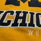 Michigan Script & M Hoodie