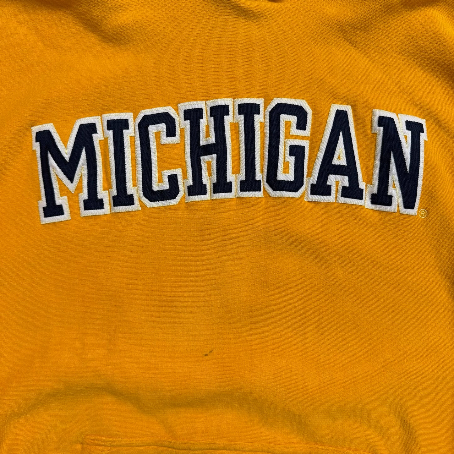 Michigan Embroidered Script Hoodie