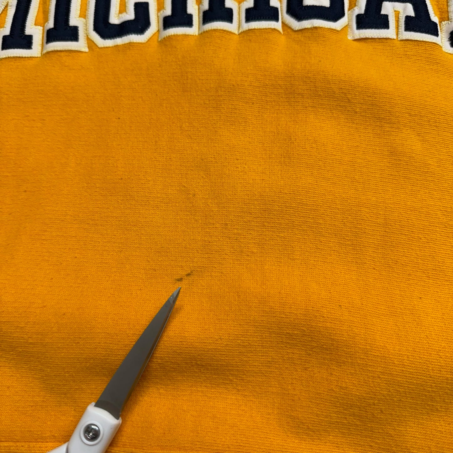 Michigan Embroidered Script Hoodie