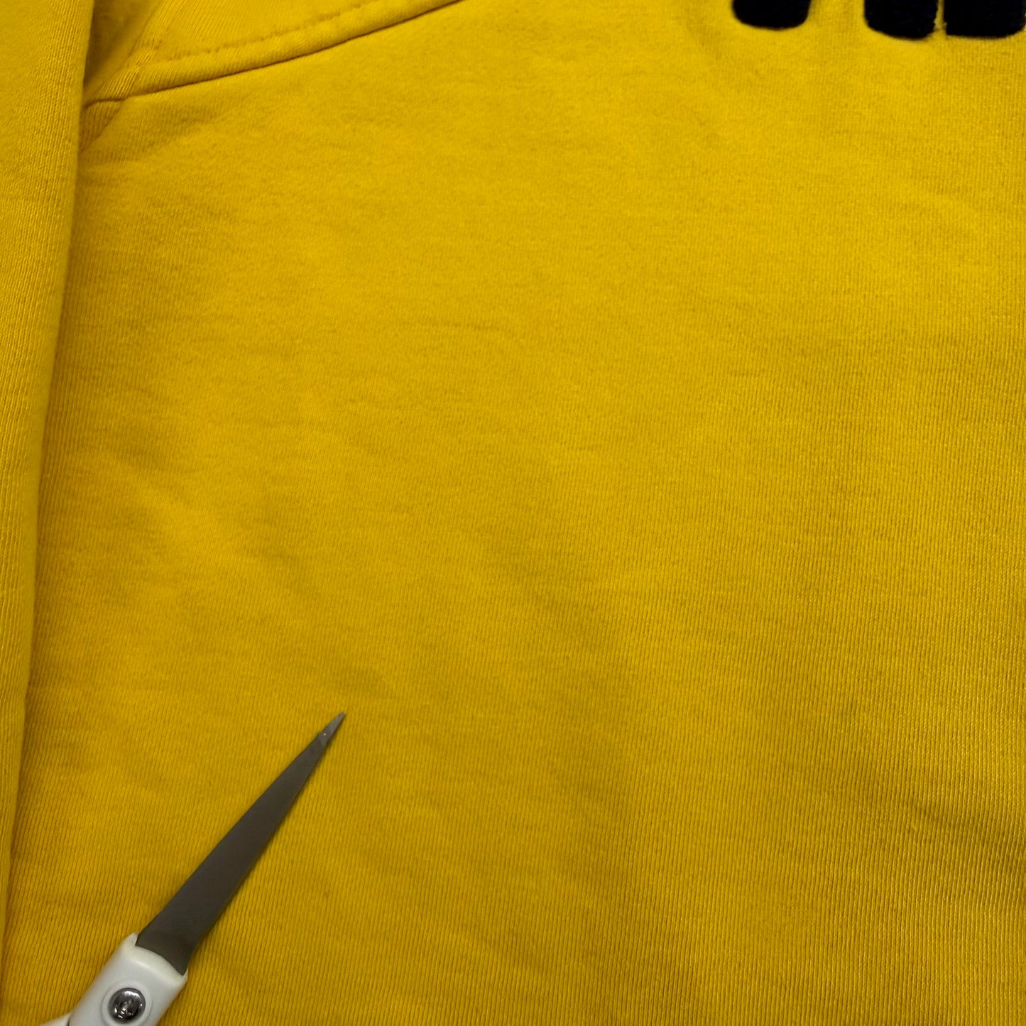 Michigan Embroidered Nike Hoodie
