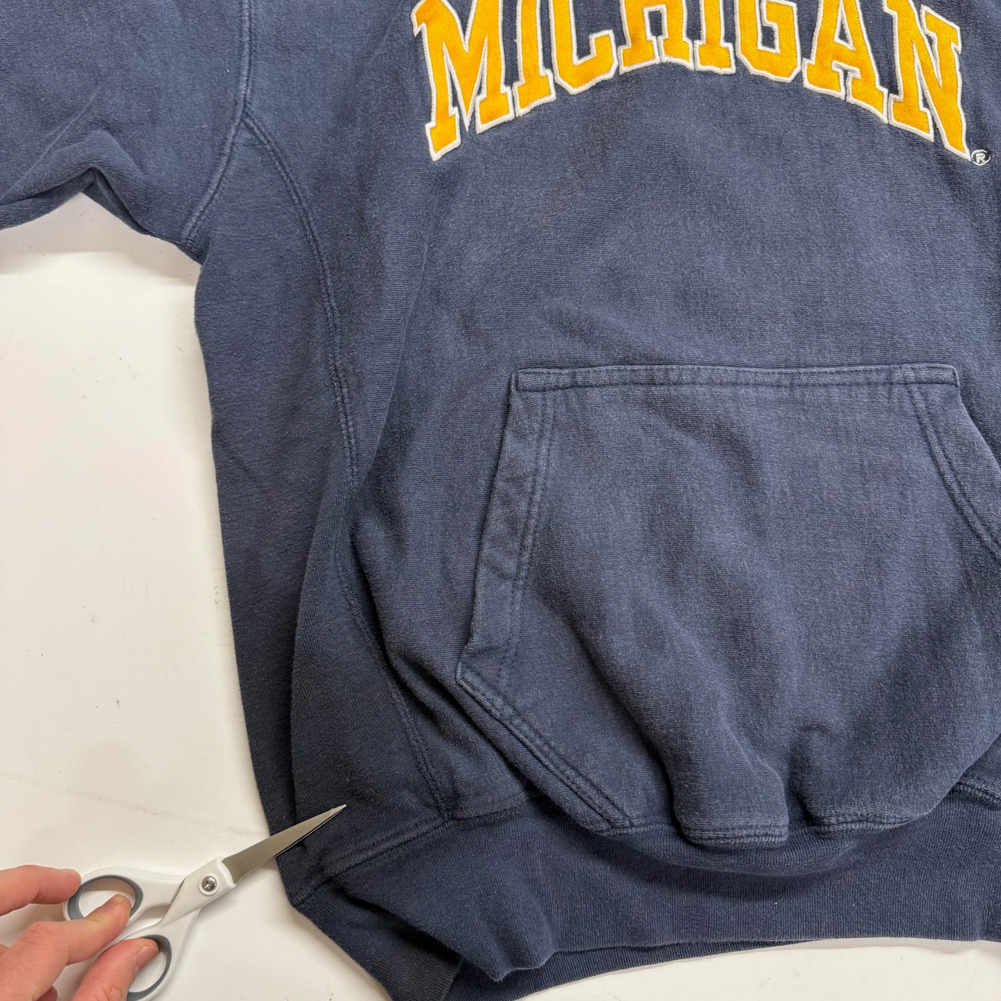 Michigan Embroidered Hoodie
