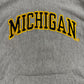 Michigan Embroidered Hoodie