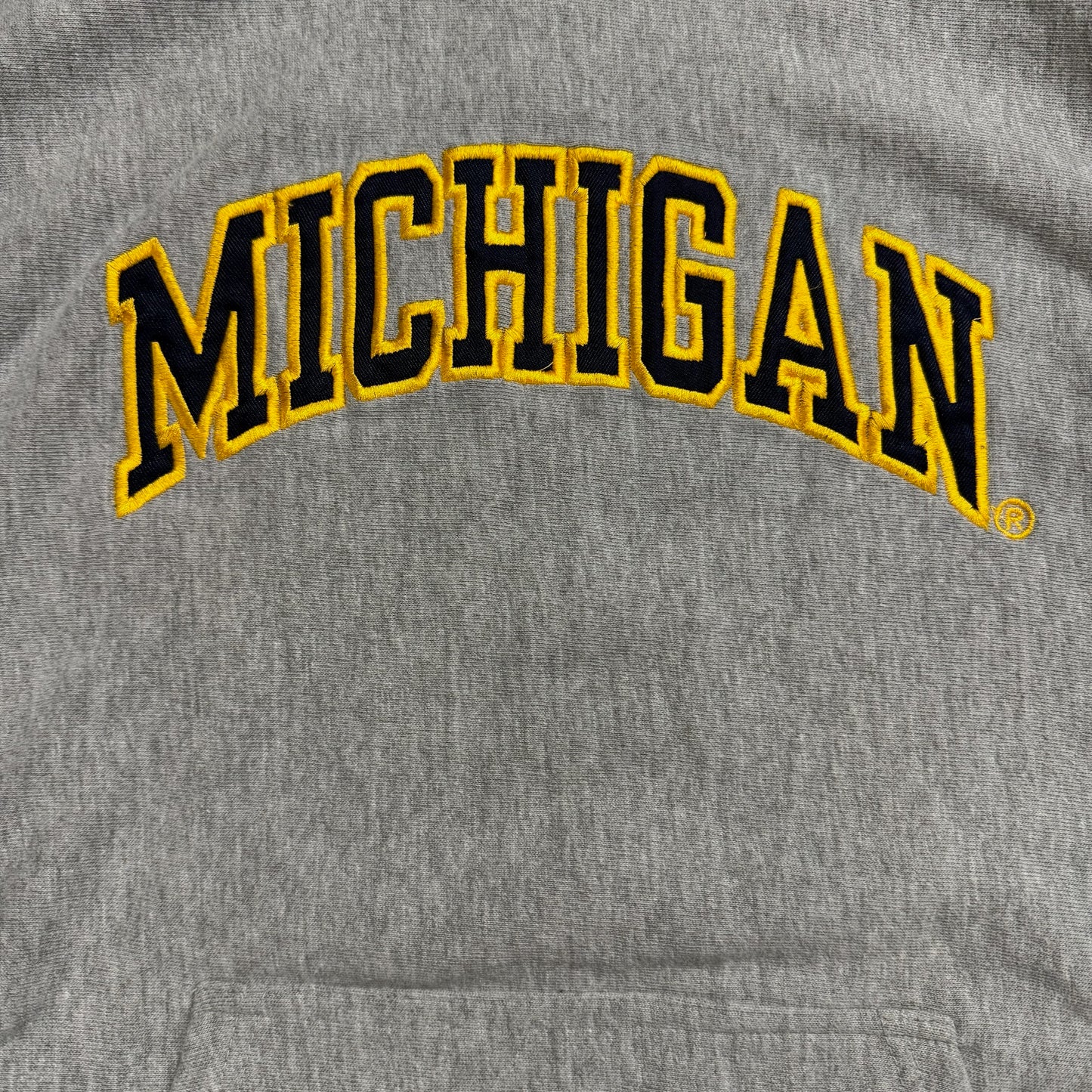 Michigan Embroidered Hoodie