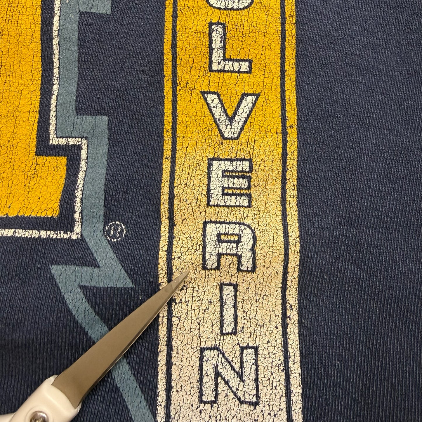 Michigan 1997 National Champs Crewneck