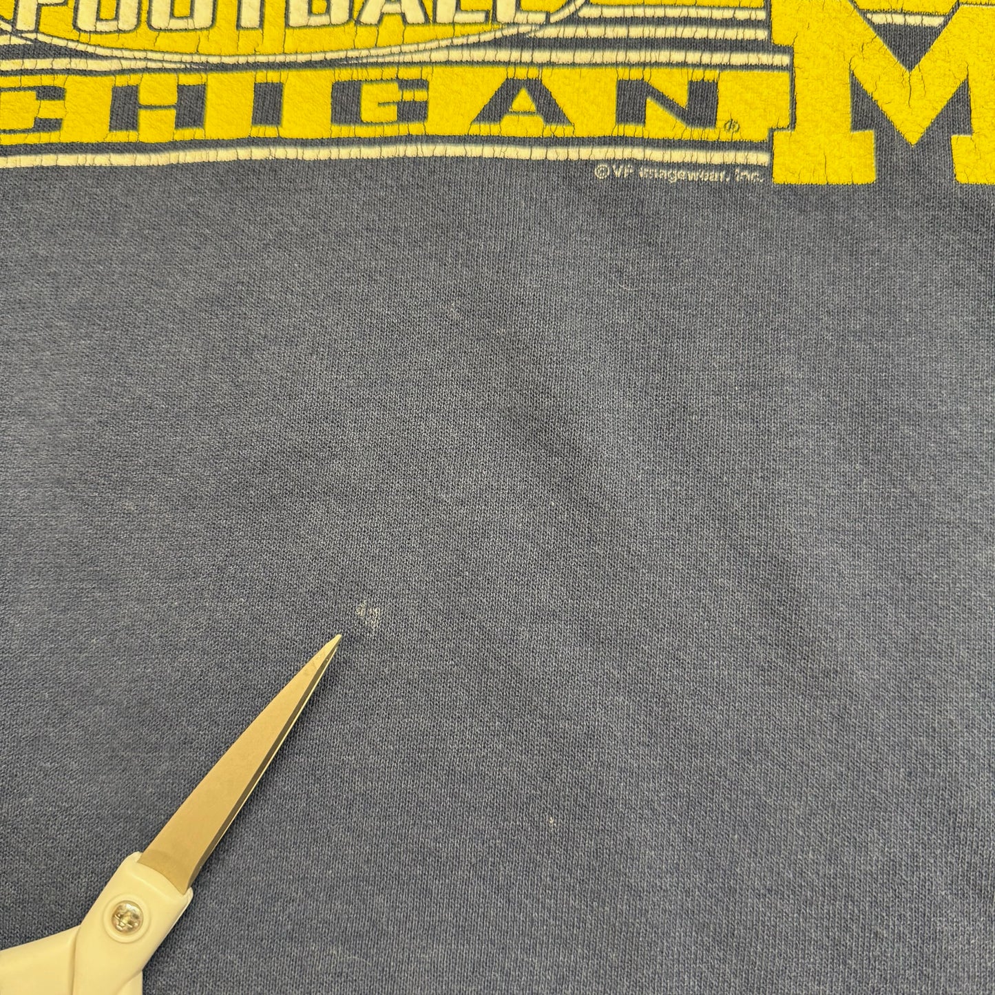 Michigan 2004 Big Ten Champions Crewneck