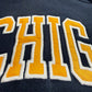 Michigan Embroidered Script Hoodie