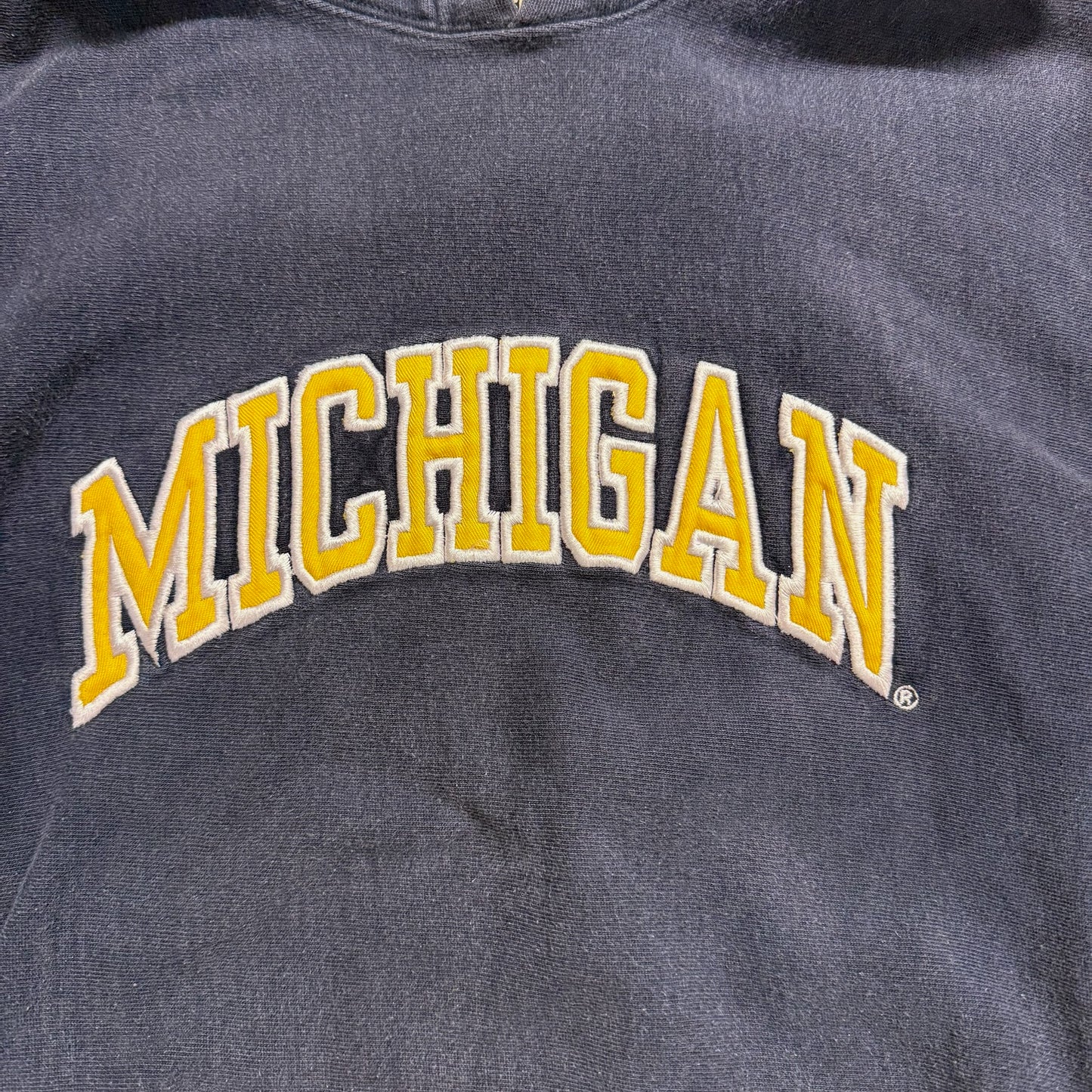 Michigan Embroidered Script Hoodie