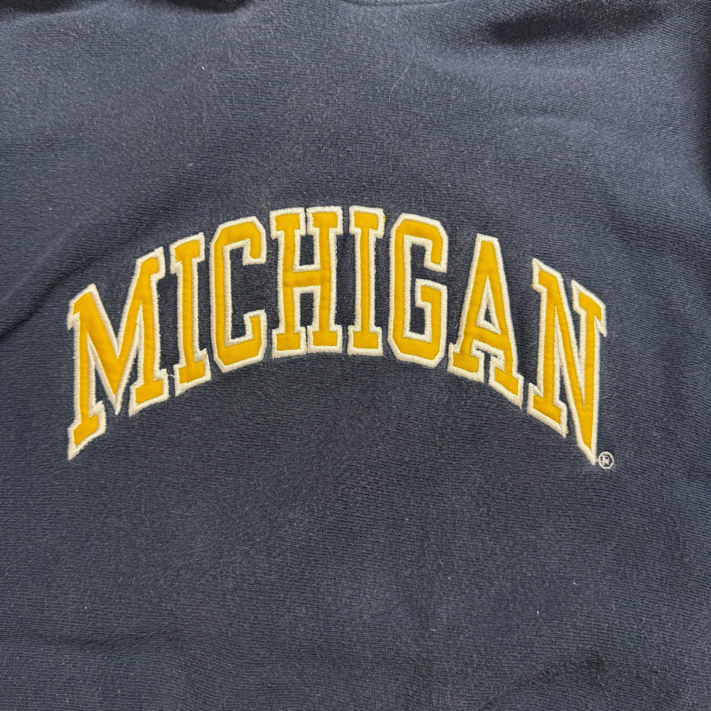 Michigan Embroidered Script Hoodie