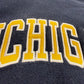 Michigan Embroidered Script Hoodie