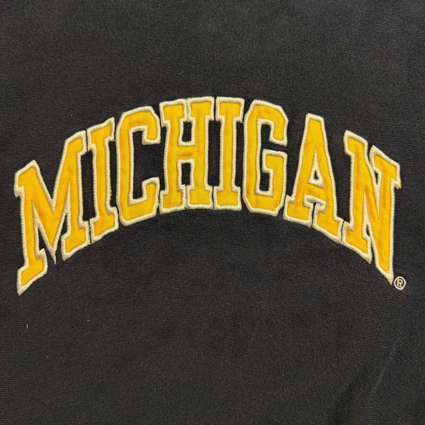 Michigan Embroidered Script Hoodie