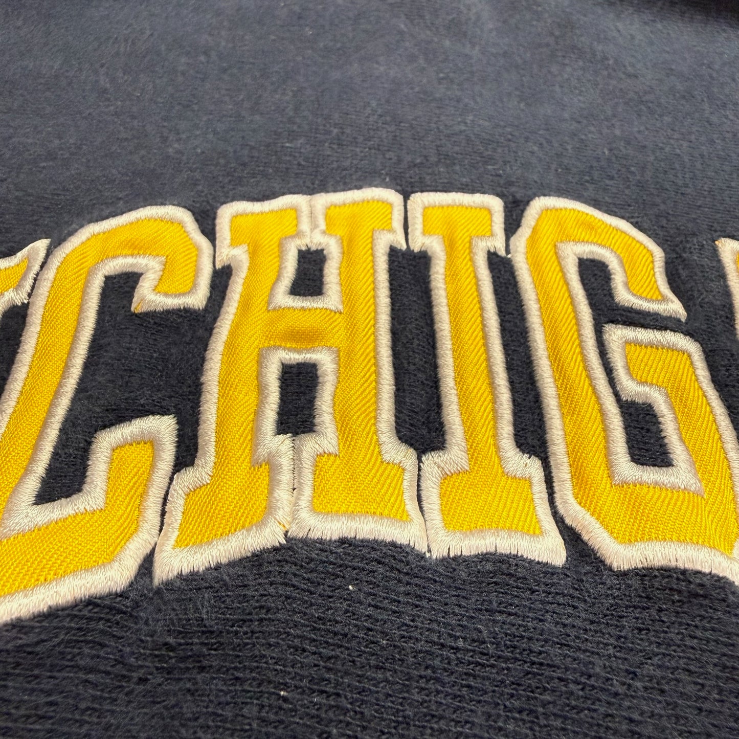 Michigan Embroidered Script Hoodie