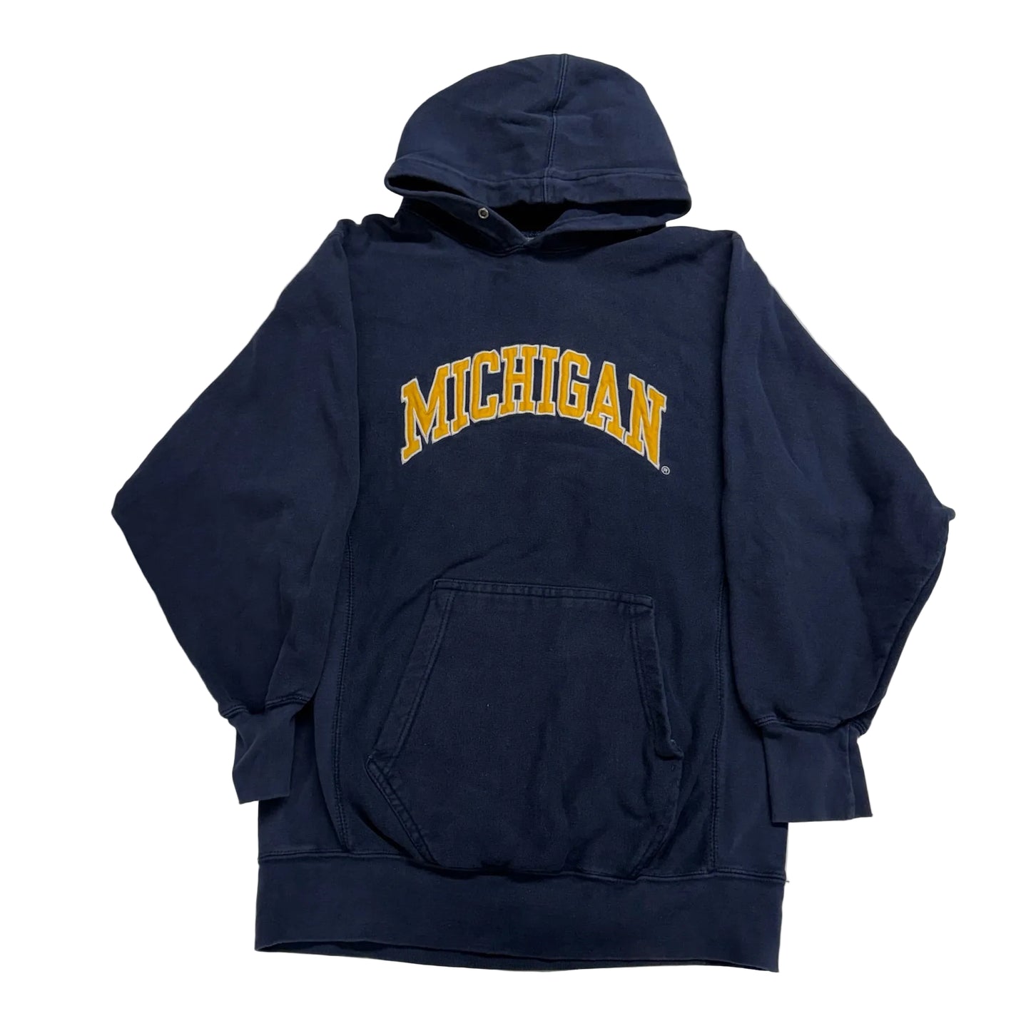 Michigan Embroidered Script Hoodie