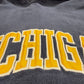Michigan Embroidered Script Hoodie