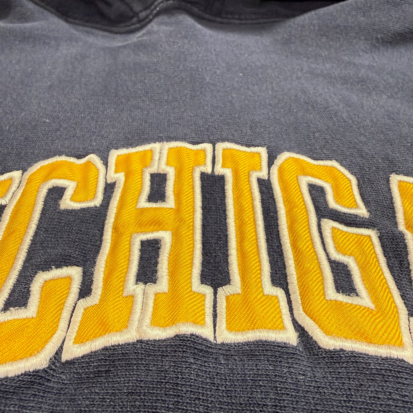 Michigan Embroidered Script Hoodie