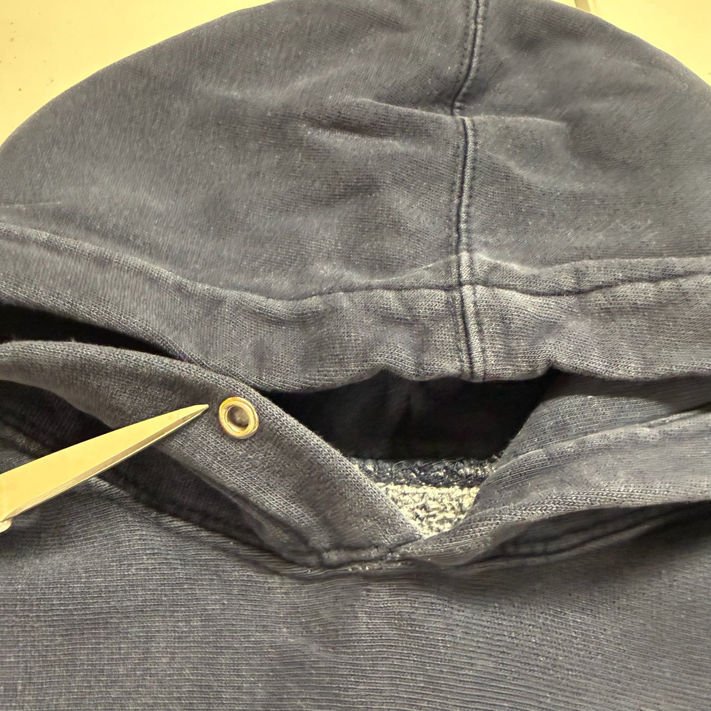 Michigan Embroidered Script Hoodie