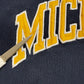 Michigan Embroidered Script Hoodie