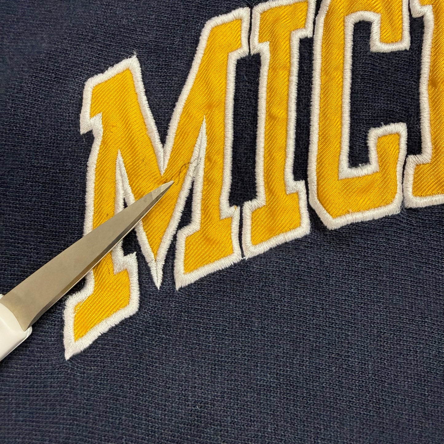 Michigan Embroidered Script Hoodie