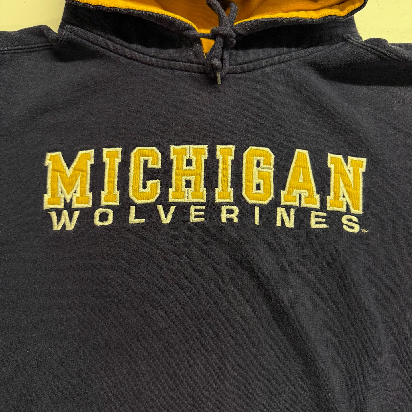 Michigan Embroidered Script Hoodie