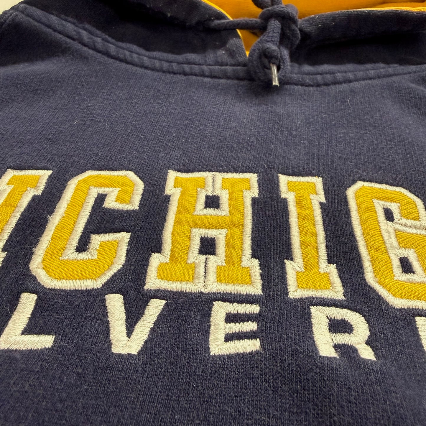 Michigan Embroidered Script Hoodie