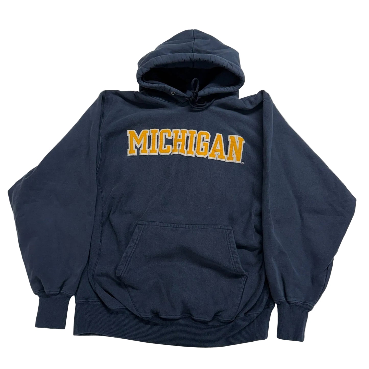 Michigan Embroidered Script Hoodie