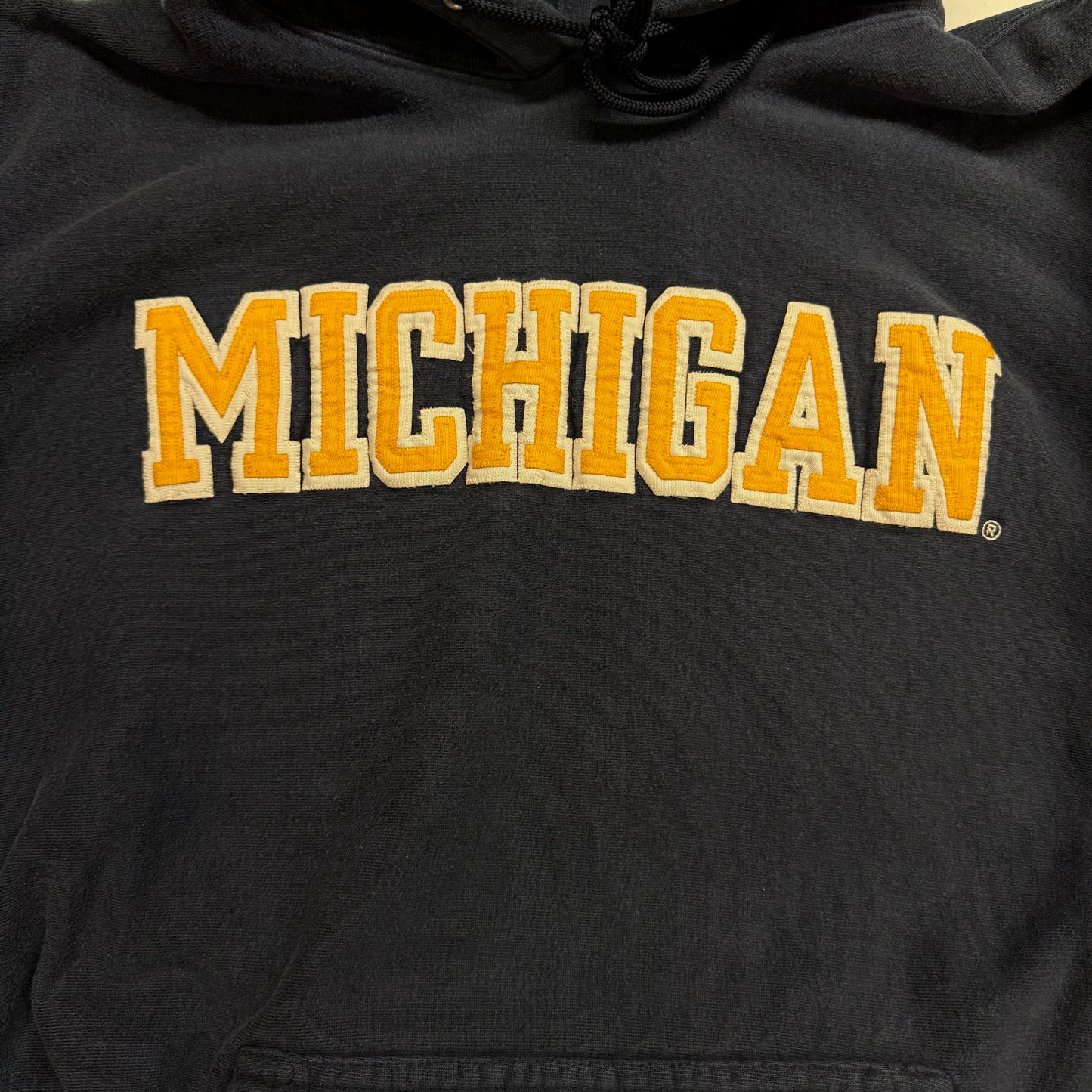Michigan Embroidered Script Hoodie