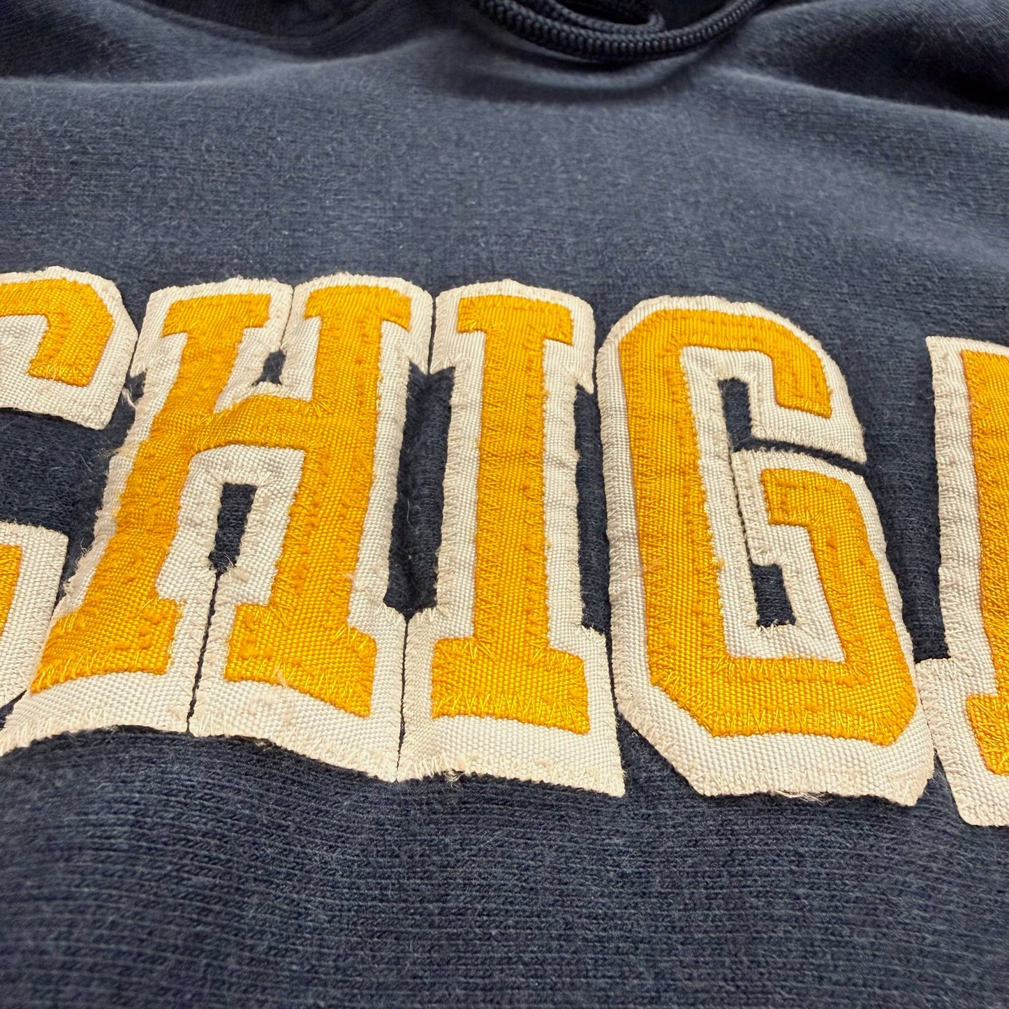 Michigan Embroidered Script Hoodie