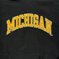Michigan Embroidered Script Hoodie