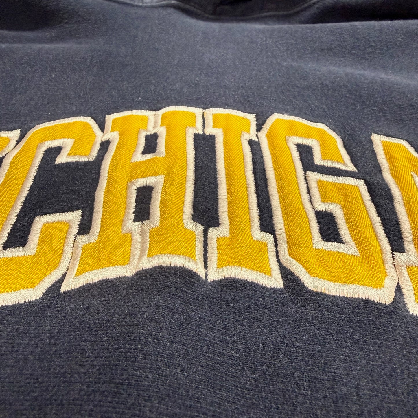 Michigan Embroidered Script Hoodie