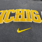 Michigan Embroidered Swoosh Hoodie