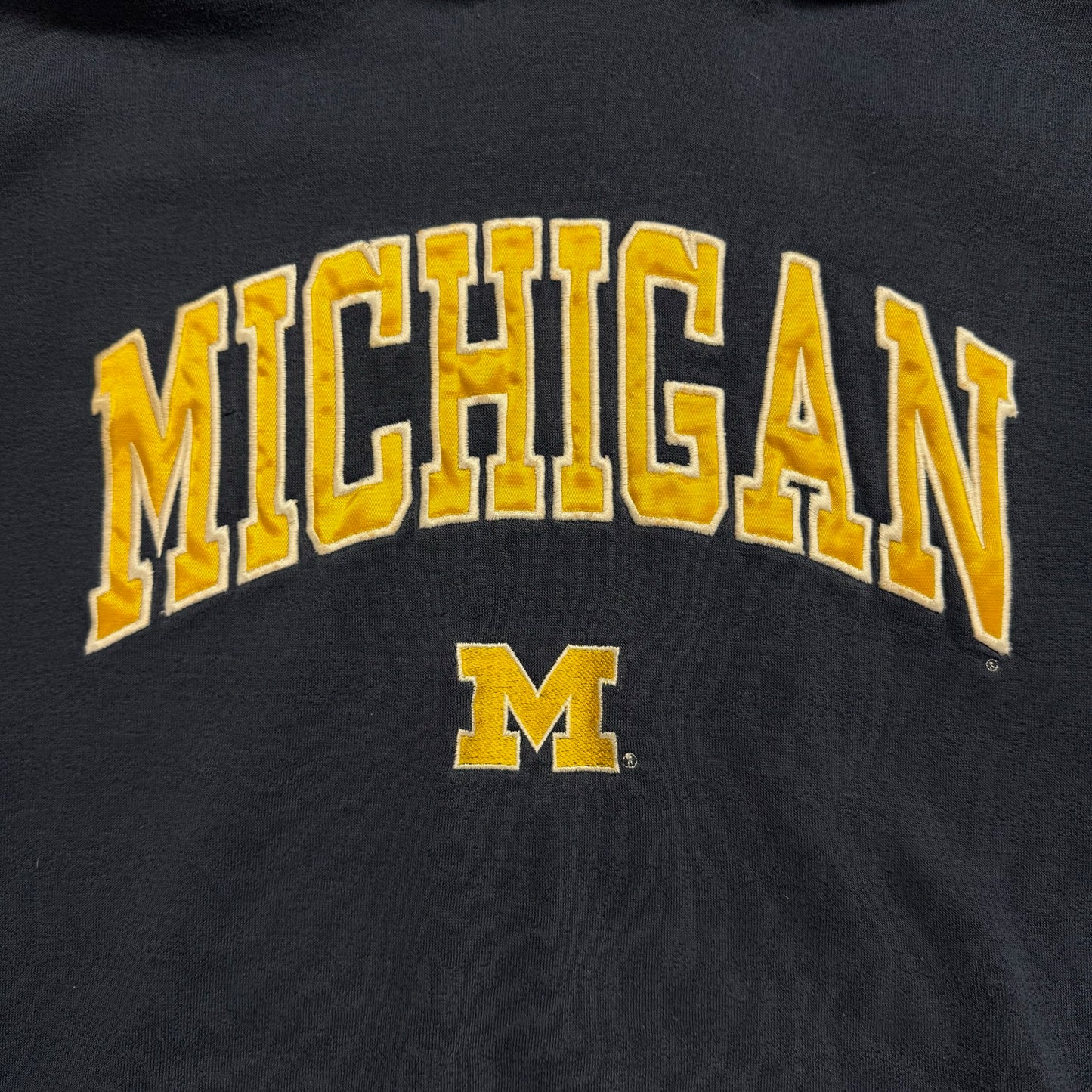 Michigan Script & M Hoodie